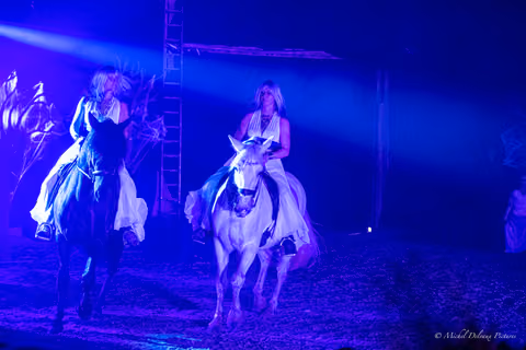 Photo 82 de la galerie du spectacle Maléfique.