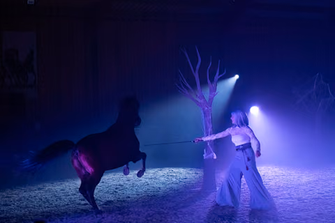 Photo 20 de la galerie du spectacle Maléfique.