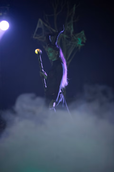 Photo 15 de la galerie du spectacle Maléfique.