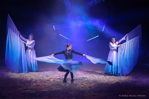 Photo 59 de la galerie du spectacle Nemesis.