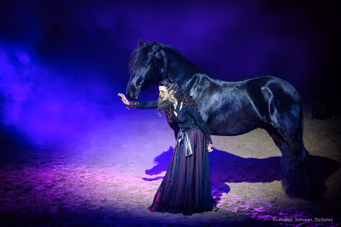 Photo 6 de la galerie du spectacle Nemesis.