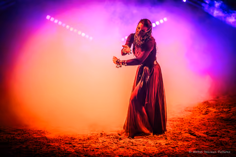 Photo 31 de la galerie du spectacle Nemesis.