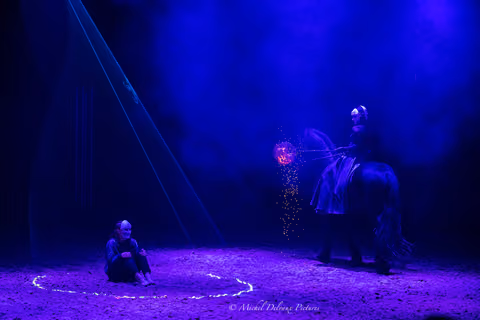 Photo 86 de la galerie du spectacle Nova.