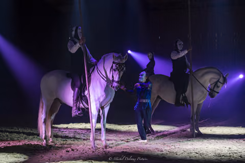 Photo 99 de la galerie du spectacle Nova.